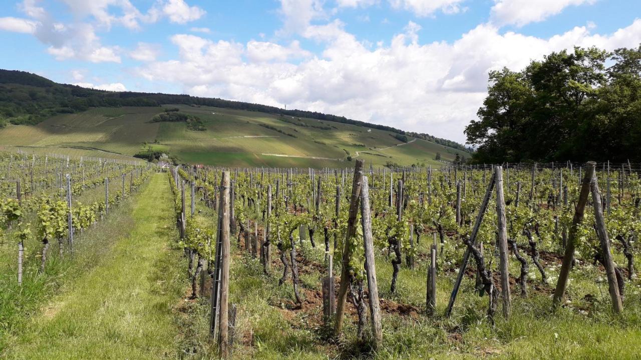 Villa/appartement Au Coeur Des Vignes *** Apartment *