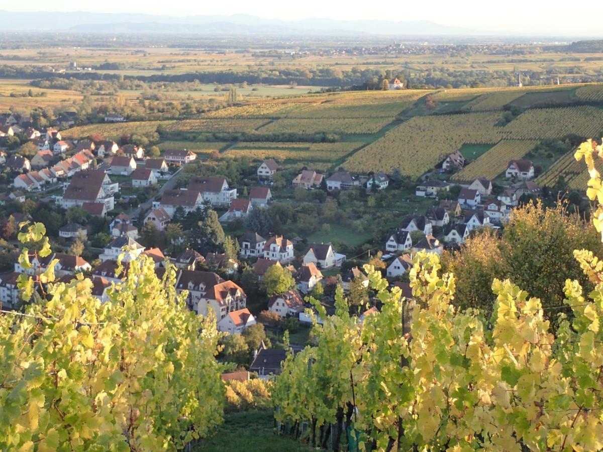Villa/appartement Au Coeur Des Vignes *** Apartment Barr