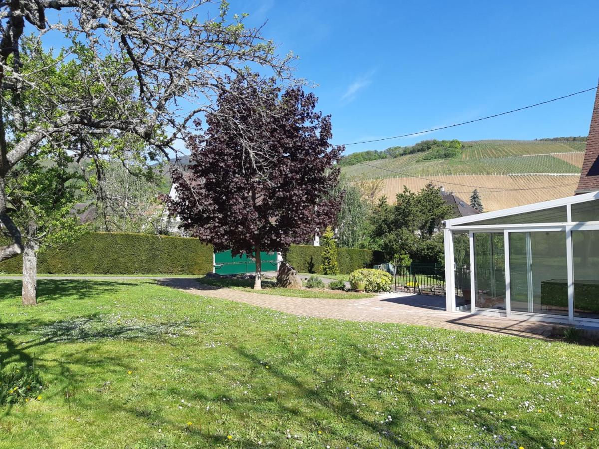 Villa/appartement Au Coeur Des Vignes *** *