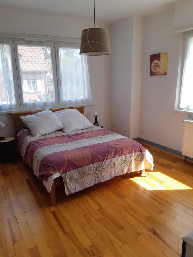 Villa/appartement Au Coeur Des Vignes *** Apartment Barr